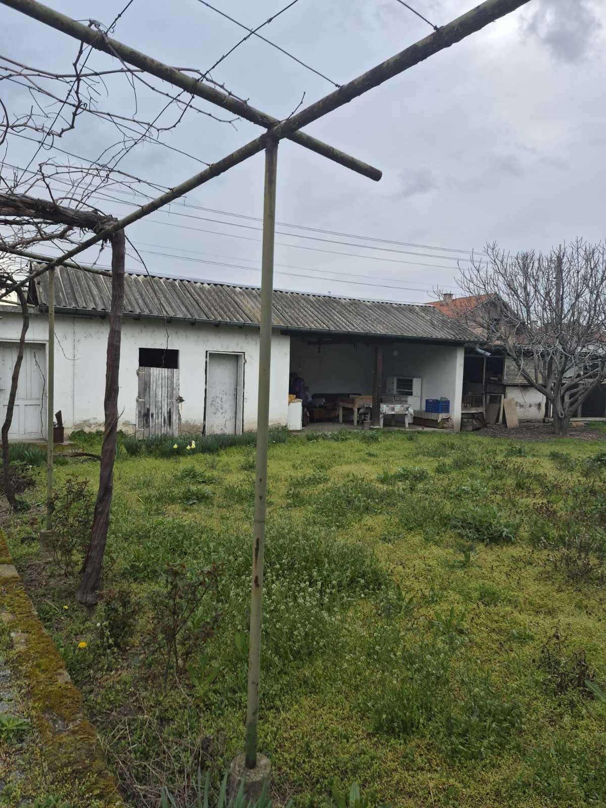 Снимка 12